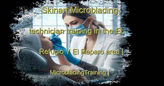 Skinart Microblading technician training in the El Refugio Y El Reparo area | MicrobladingTraining | MicrobladingClasses | SkinartTraining-Mexico